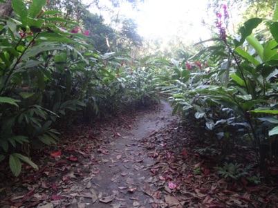 A wandering path A wandering path